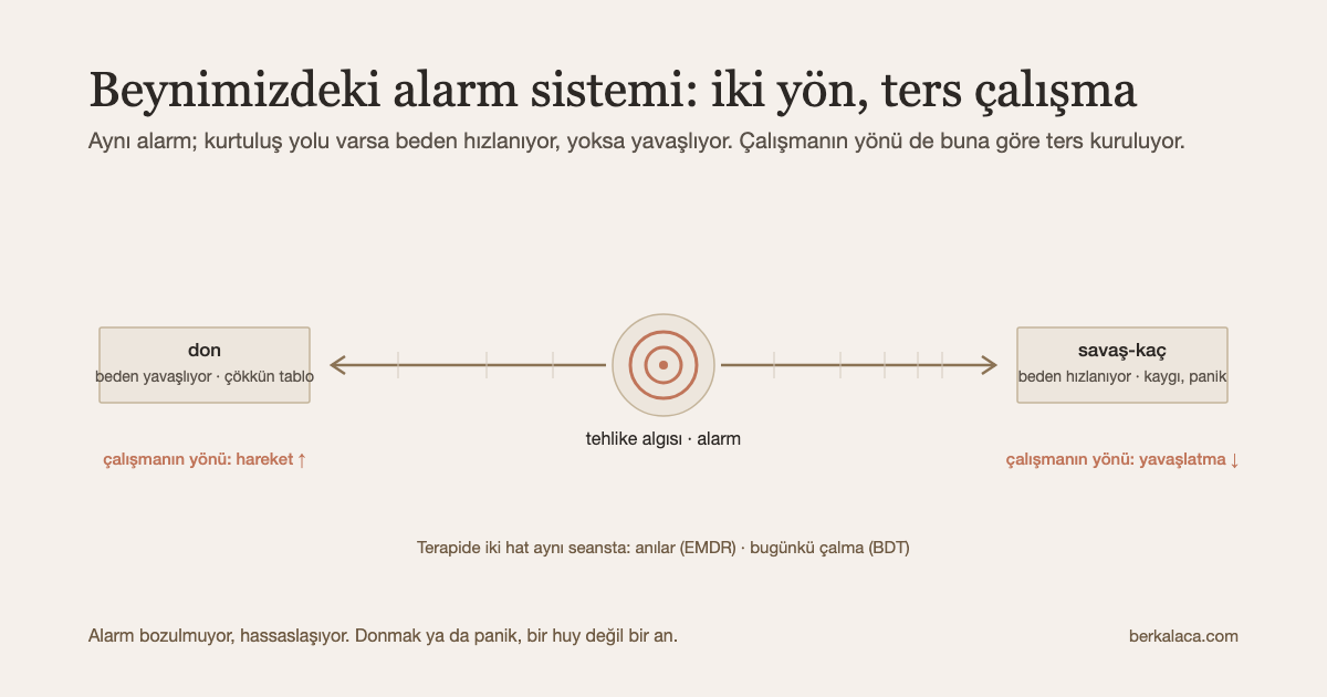 Şema: ortada tek bir alarm; sağa giden ok hızlanıyor (savaş-kaç: kaygı, panik), sola giden ok yavaşlıyor (don: çökkün tablo); her okun altında çalışmanın ters yönü