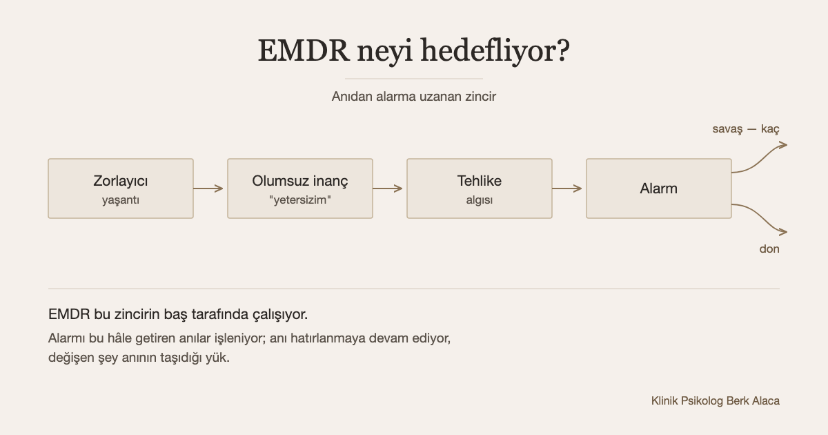 Dört halkalı zincir şeması: zorlayıcı yaşantı, olumsuz inanç, tehlike algısı ve alarm oklarla birbirine bağlanıyor; alarmdan savaş-kaç ve don olmak üzere iki dal çıkıyor.