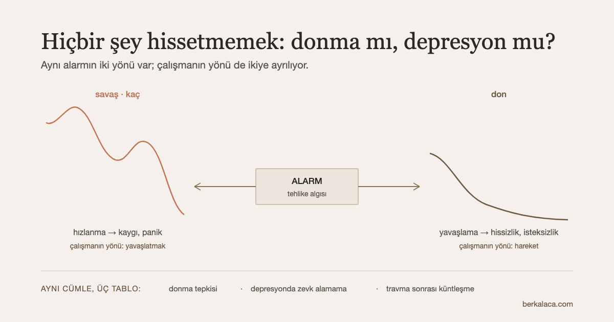 Şema: ortada tek bir alarm; ondan çıkan iki ok, biri yukarı ve hızlanan çizgiyle kaygıya, öbürü aşağı ve yavaşlayıp düzleşen çizgiyle donmaya gidiyor